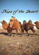 Ships of the Desert