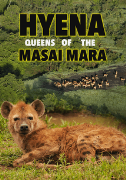 Hyena - Queens of the Masai Mara