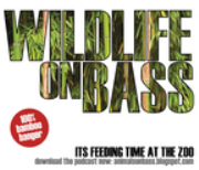 Wildlife On Bass (mp3)