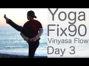 Yoga Practice Day 3: Vinyasa Flow to Bird Of Paradise:  Yoga with Lesley Fightmaster