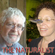 The Naturalist