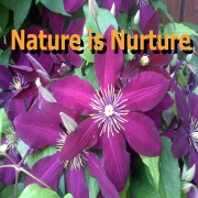 Nature is Nurture