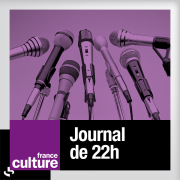 LE JOURNAL DE 22H