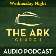 Wednesday Night at The Ark