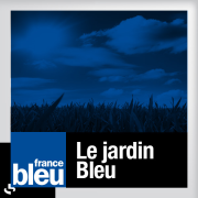 Le jardin bleu