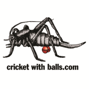 cricket with balls