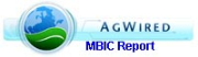 MBIC Report