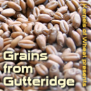 Grains from Gutteridge Podcast