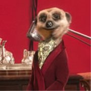 Aleksandr Orlov launches new monthly Meerchat show