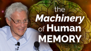 Machinery of Human Memory with Richard Atkinson