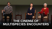 The Cinema of Multispecies Encounters