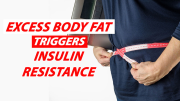 Excess Body Fat Triggers Insulin Resistance