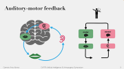 CARTA: Artificial Intelligence and Anthropogeny - The Role of Feedback in the Parallel Architecture of Language with Carmen Amo Alonso and John Doyle