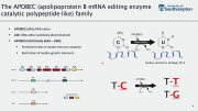 APOBEC3 Enzymes: From Retroviral Restriction Factors to Cancer Drivers…and Beyond? with Tim Fenton