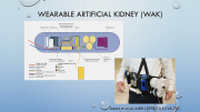 Beyond Kidney Allotransplantation: Advancements in Kidney Xenotransplantation and Artificial Kidney