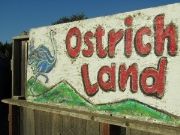 01 - Ostrichland, Buellton CA - Road Sweet Road