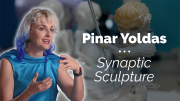 Pinar Yoldas: Synaptic Sculpture