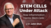 What Makes a Stem Cell a Stem Cell and How Does it Go Bad? with John Dick - Sanford Stem Cell Symposium 2024