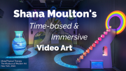 Shana Moulton's Time-based and Immersive Video Art