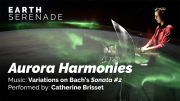 Aurora Harmonies