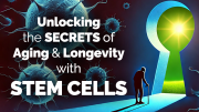 Unlocking the Secrets of Aging and Longevity with Stem Cells