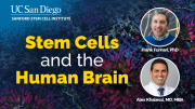 Stem Cells and the Human Brain - Medicine Informing Novel Discoveries (MIND)