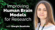 Upgrading the Physiological Relevance of Human Brain Organoids