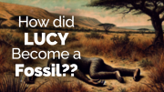 CARTA: How Did Lucy Become a Fossil? Investigating the Life Death and Preservation of a Famous Hominin with Anna Behrensmeyer