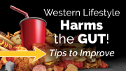 Western Lifestyle Harms Your Gut: Tips to Improve