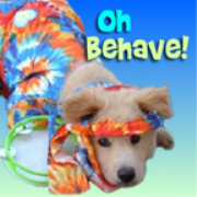PetLifeRadio.com - Oh Behave - Harmony in the household with your pets, & animal behavior on Pet Life Radio.