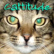 PetLifeRadio.com - Cattitude -  All about cats as pets on Pet Life Radio.