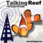 Talkingreef