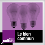 France Culture - Le bien commun