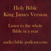 ABP - King James Version - Blended Mix