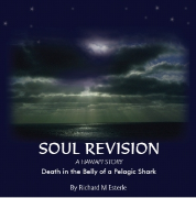 Soul Revision-a Hawaii Story by Richard M Esterle