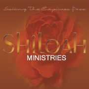 Waters of Shiloah