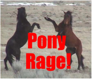 Pony Rage