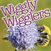 Wiggly Wigglers