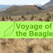 Voyage of the Beagle