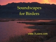 Soundscapes for Birders