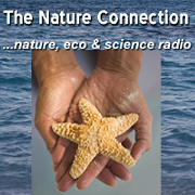 The Nature Connection | Blog Talk Radio Feed