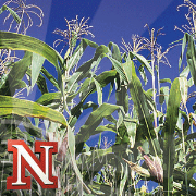 Nebraska Ag Almanac Radio