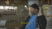 Fat Cows, Lean Cows - Trailer-Clip
