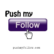 Push My Follow