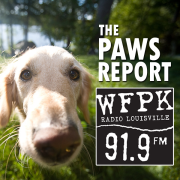 WFPK: The Paws Report